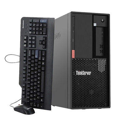 Lenovo TS90X коммерческий офисный компьютер ERP финансовый сервер E-2324G/16G/ 256G+2*1T
