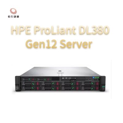 Сервер HPE ProLiant Compute DL380 Gen12 Rack Storage, пользовательский сервер хранения данных, 2-процессорный сервер